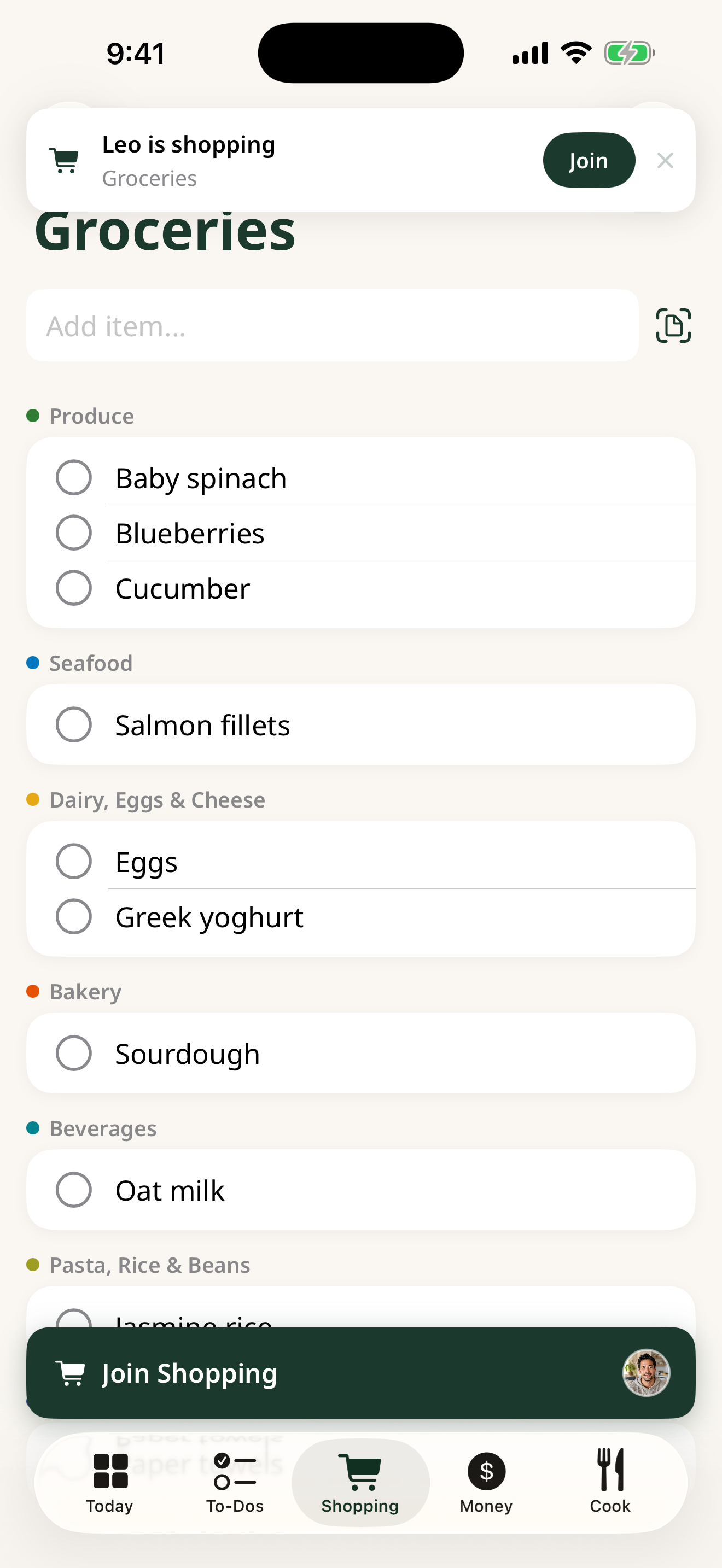 Holty shared grocery list screen on iPhone